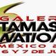 Illustration for article titled Here its the Promotional for the Tamashii Nations Gallery México 2015